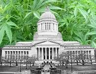 Members of Congress to Introduce Historic Legislation Ending Marijuana Prohibition