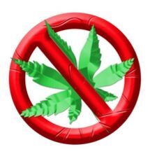 Zero Tolerance for marijuana in Wisconsin Dells