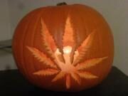 pumpkin-marijuana-hemp-cannabis-leaf