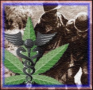 Discharged Troops for T.H.C. seen as NORML(Z)!