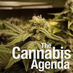 Executive Director of Northern Wisconsin NORML interviewed on The Cannabis Agenda