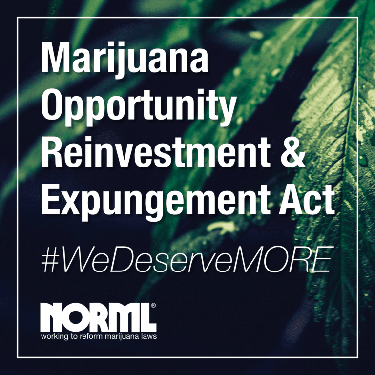 Chapter Founder and Wisconsin NORML Member Interviewed about the MORE ACT