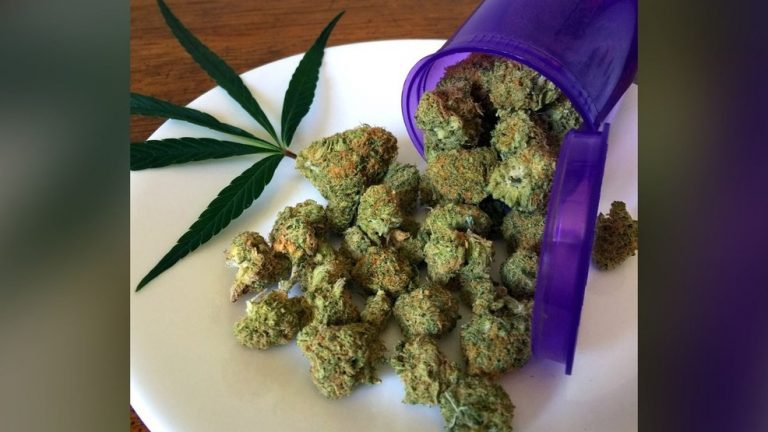 Medical Cannabis Bill Introduced in Wisconsin