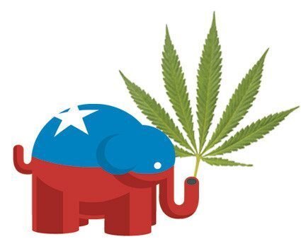Incumbent Republican Pat Snyder statements on medical marijuana