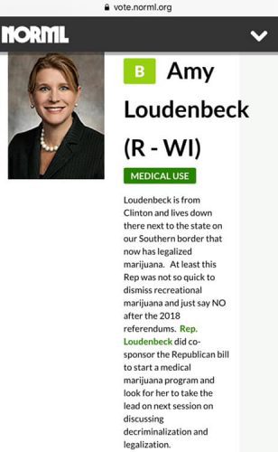 Rep. Amy Loudenbeck Marijuana Record