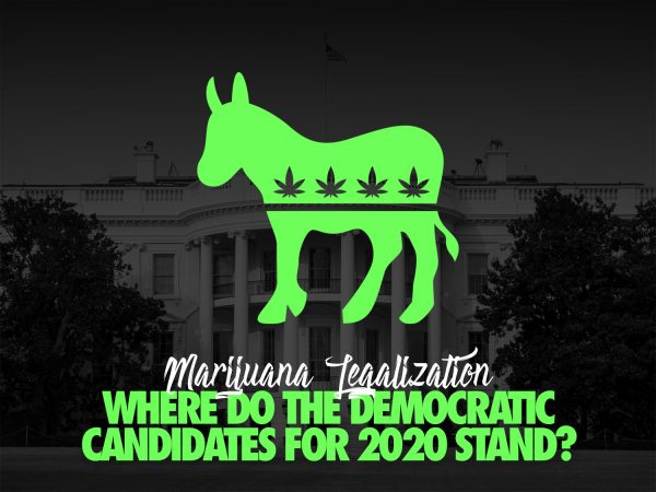 2020 Democratic State Assembly Candidates views on marijuana reform